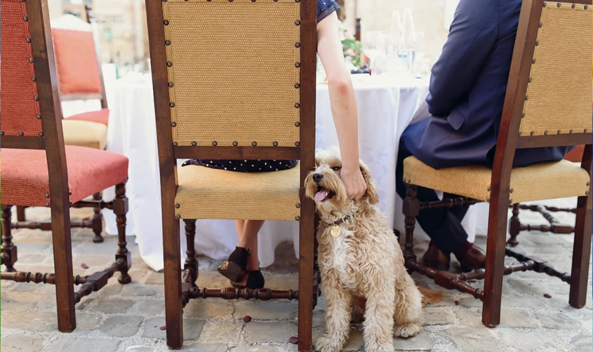 Велинград: Топ 3 pet-friendly хотела за почивка с домашни любимци