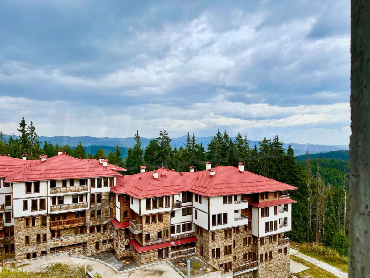 Luxury Flat in Grand Resort Pamporovo