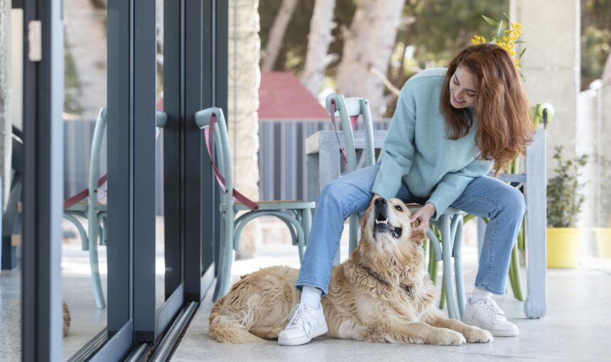 Най-добрите pet-friendly и близо до пистата хотели в Банско за 2025